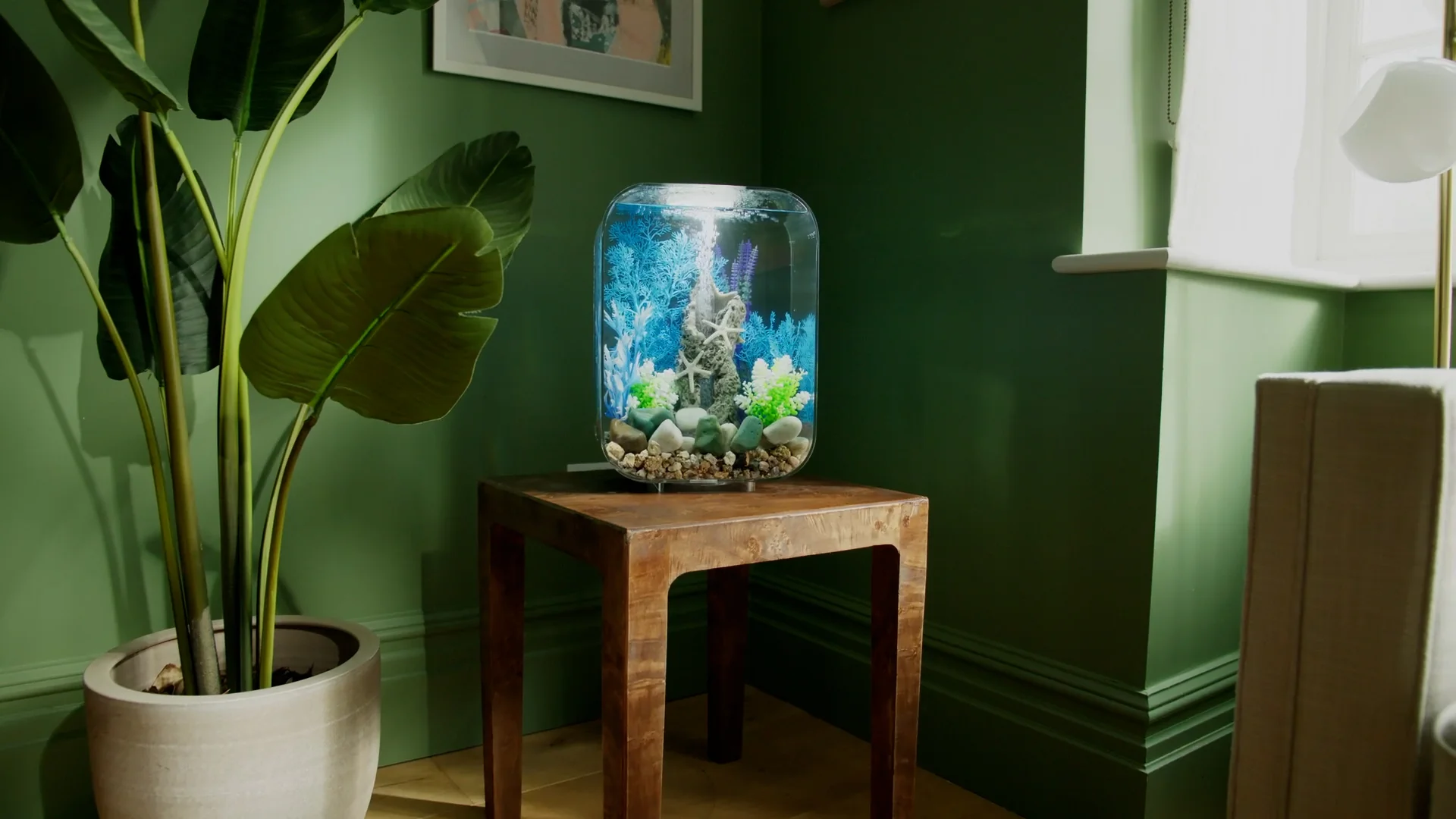 Elevate Your Space with biOrb